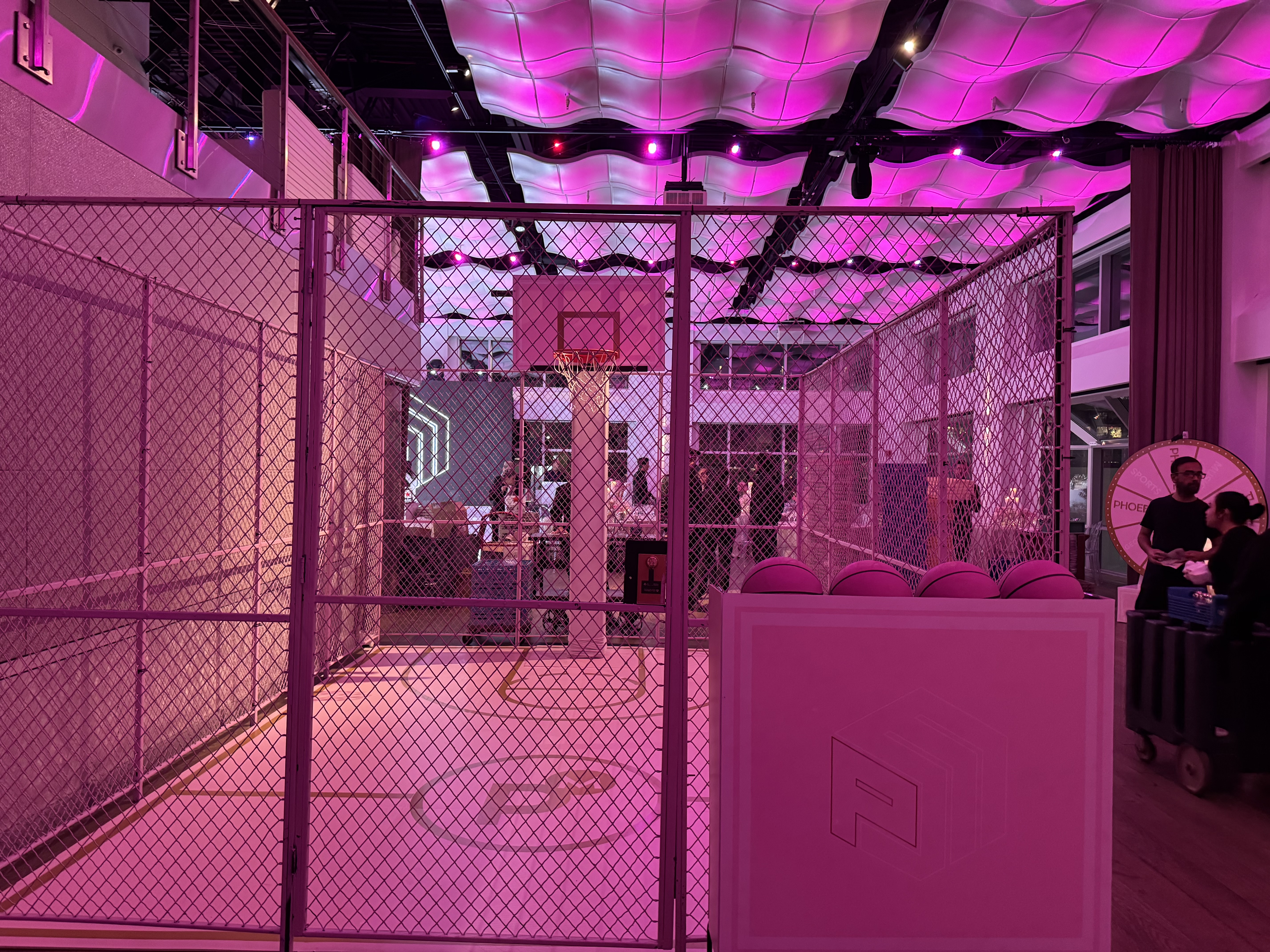 Pink Basketball Court