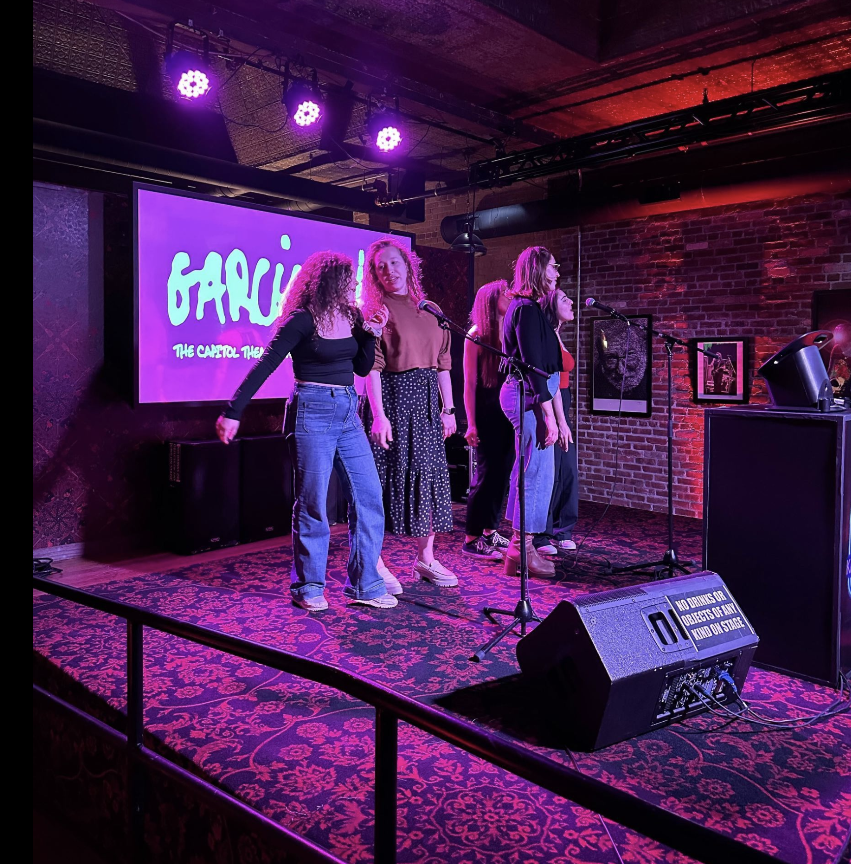 Karaoke Large Setup
